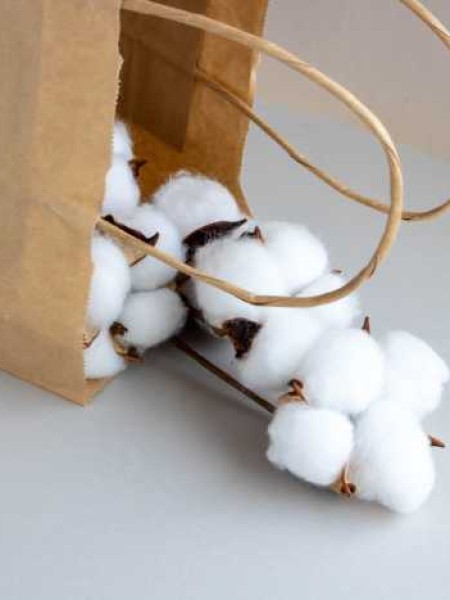 SUSTAINABLE COTTON and how to look for it?