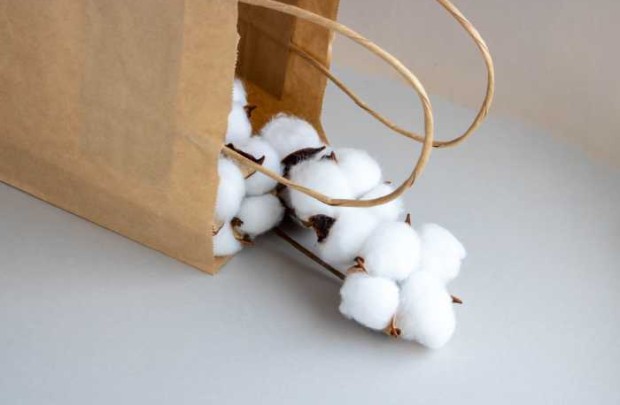 SUSTAINABLE COTTON and how to look for it?